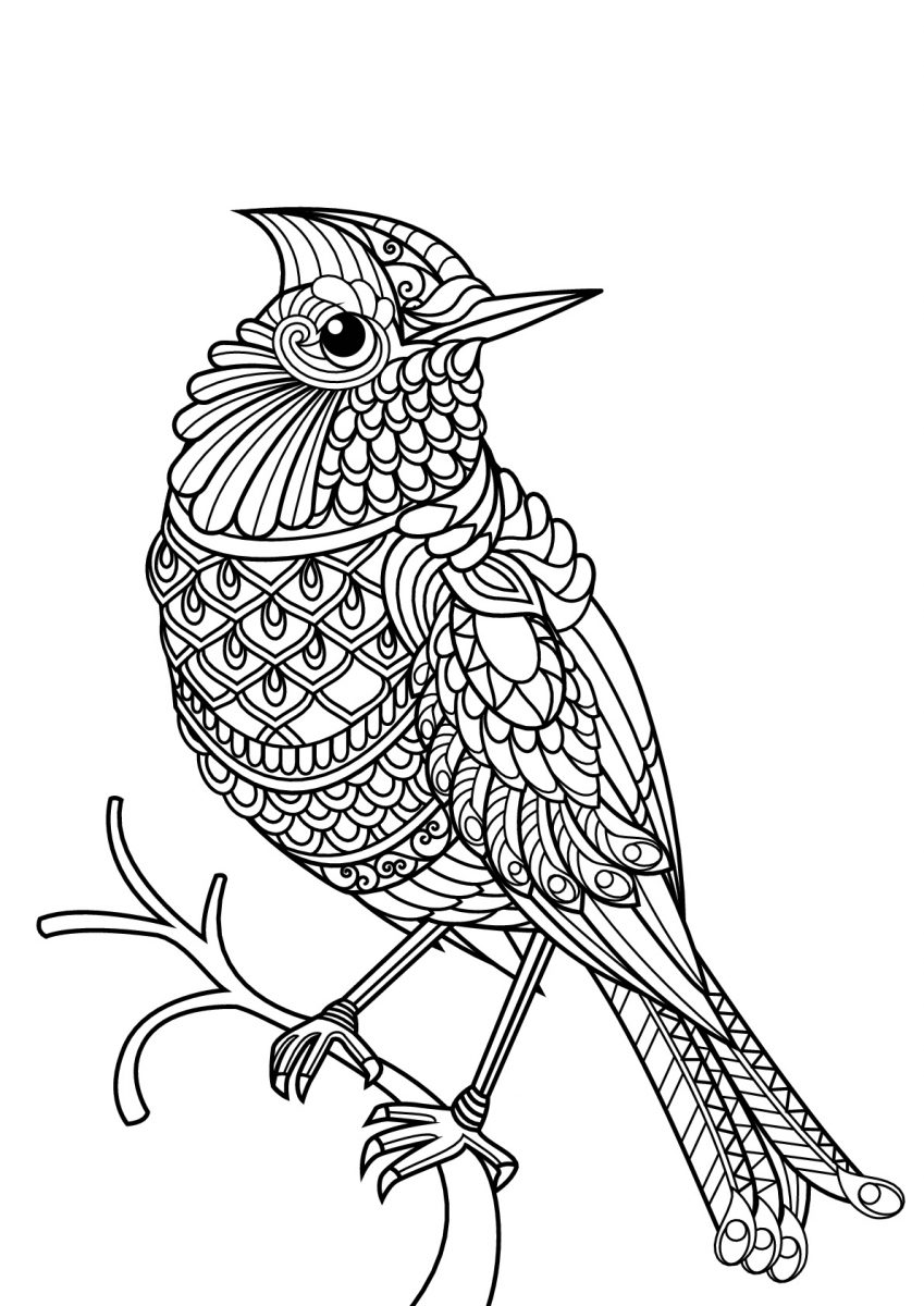 Coloring pages february the william museum of art