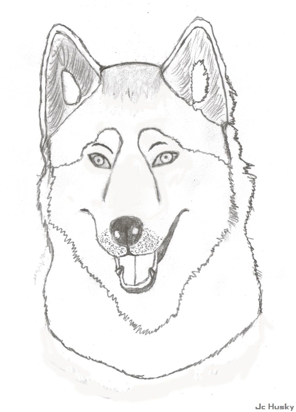 Uconn huskies coloring page