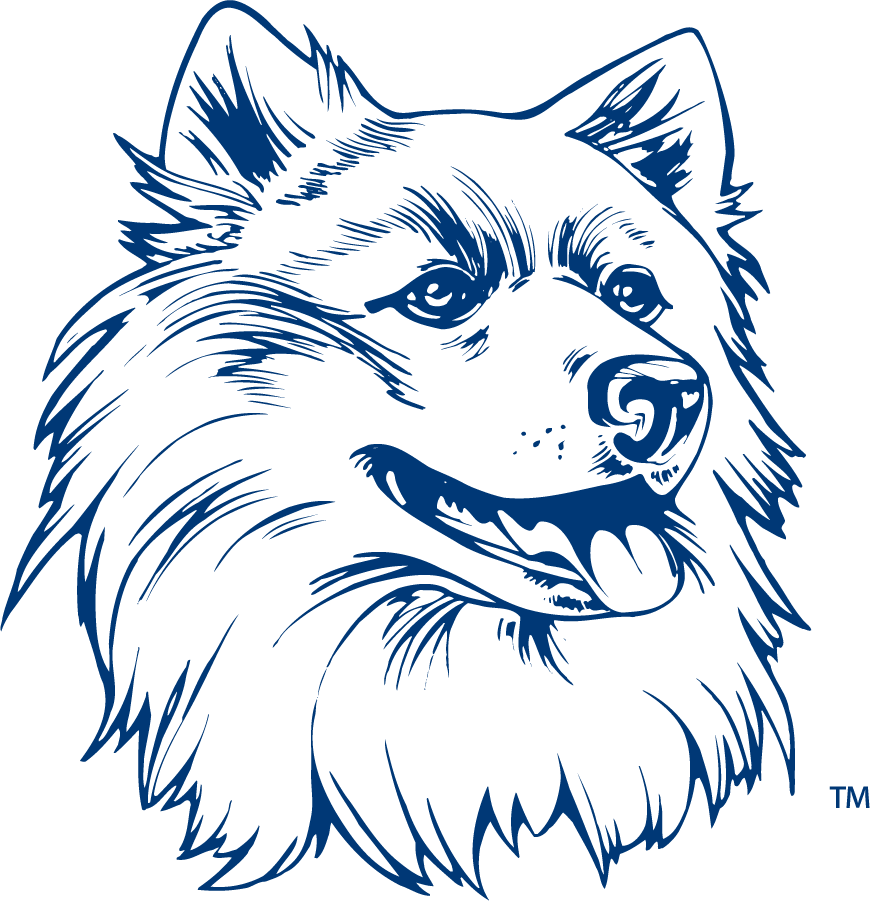 Uconn huskies secondary logo