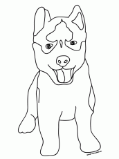 Uconn huskies coloring page