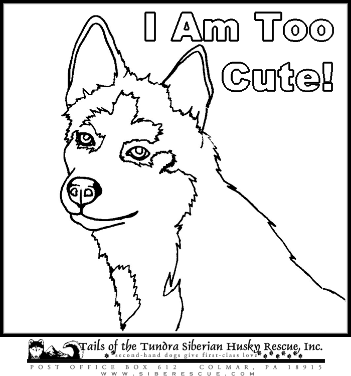 Uconn huskies coloring page