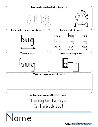 Bug worksheet