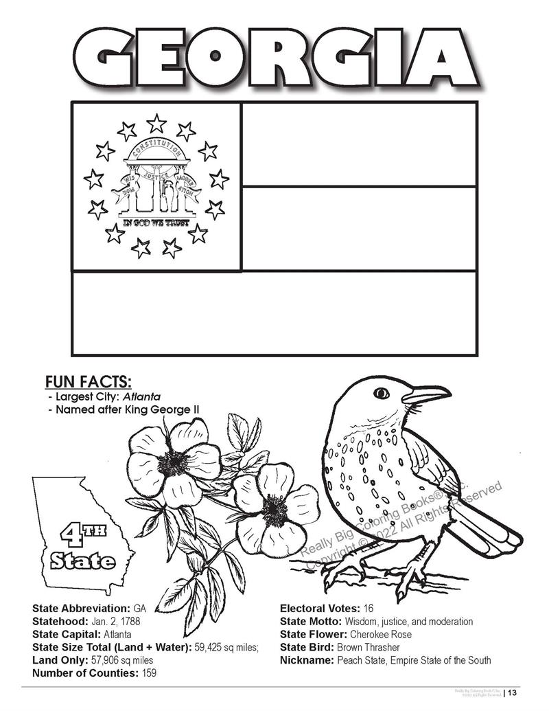 Georgia state coloring book