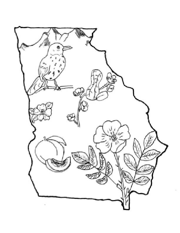 State of georgia coloring sheet