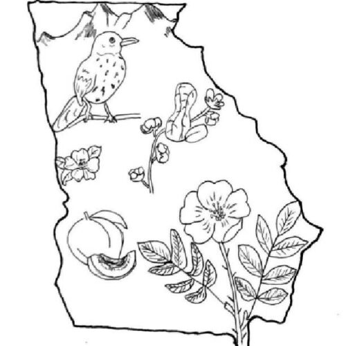 State of georgia coloring sheet