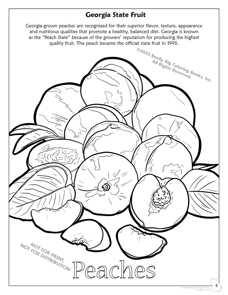 Georgia state coloring book x