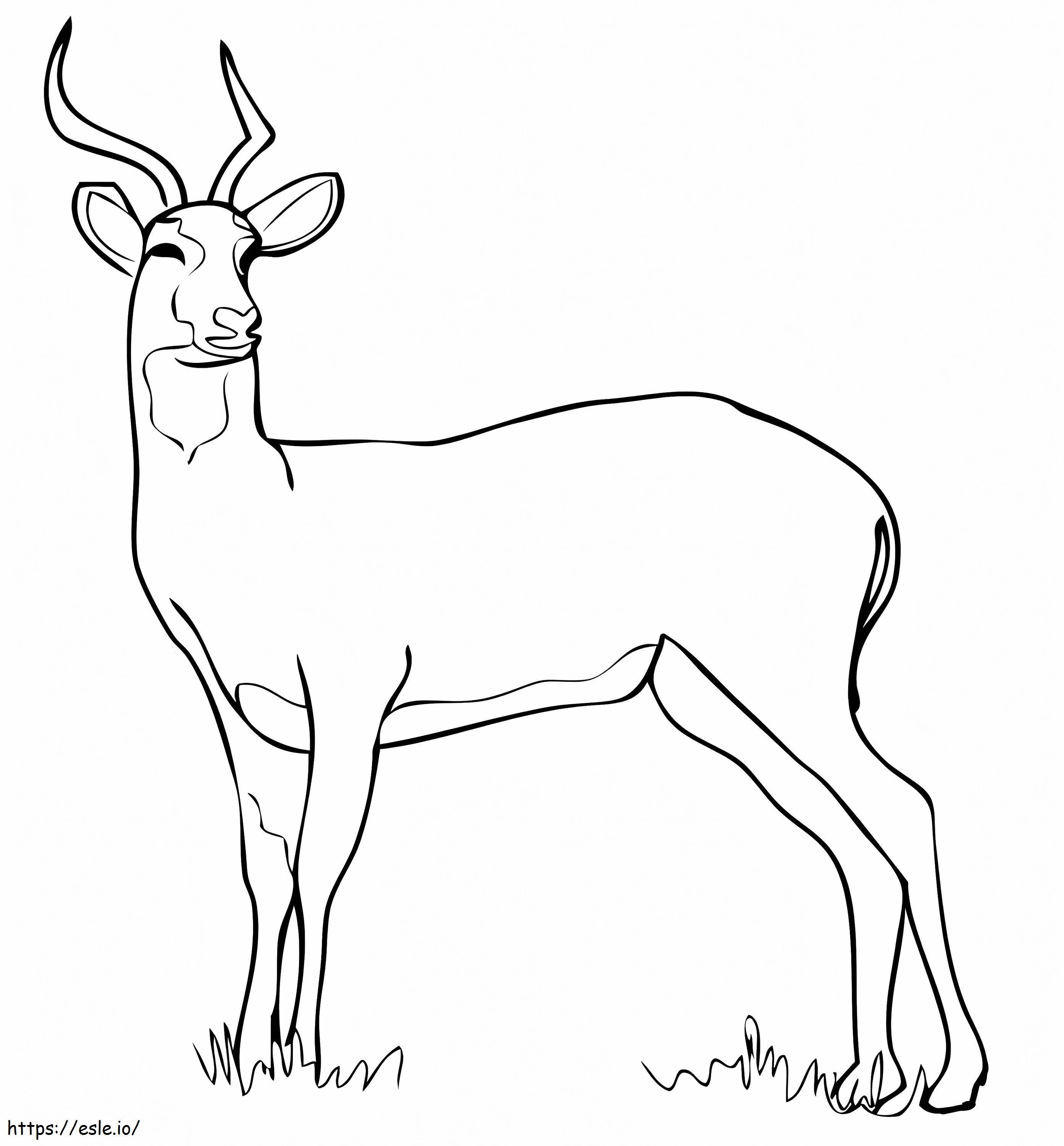 Uganda kob antelope coloring page