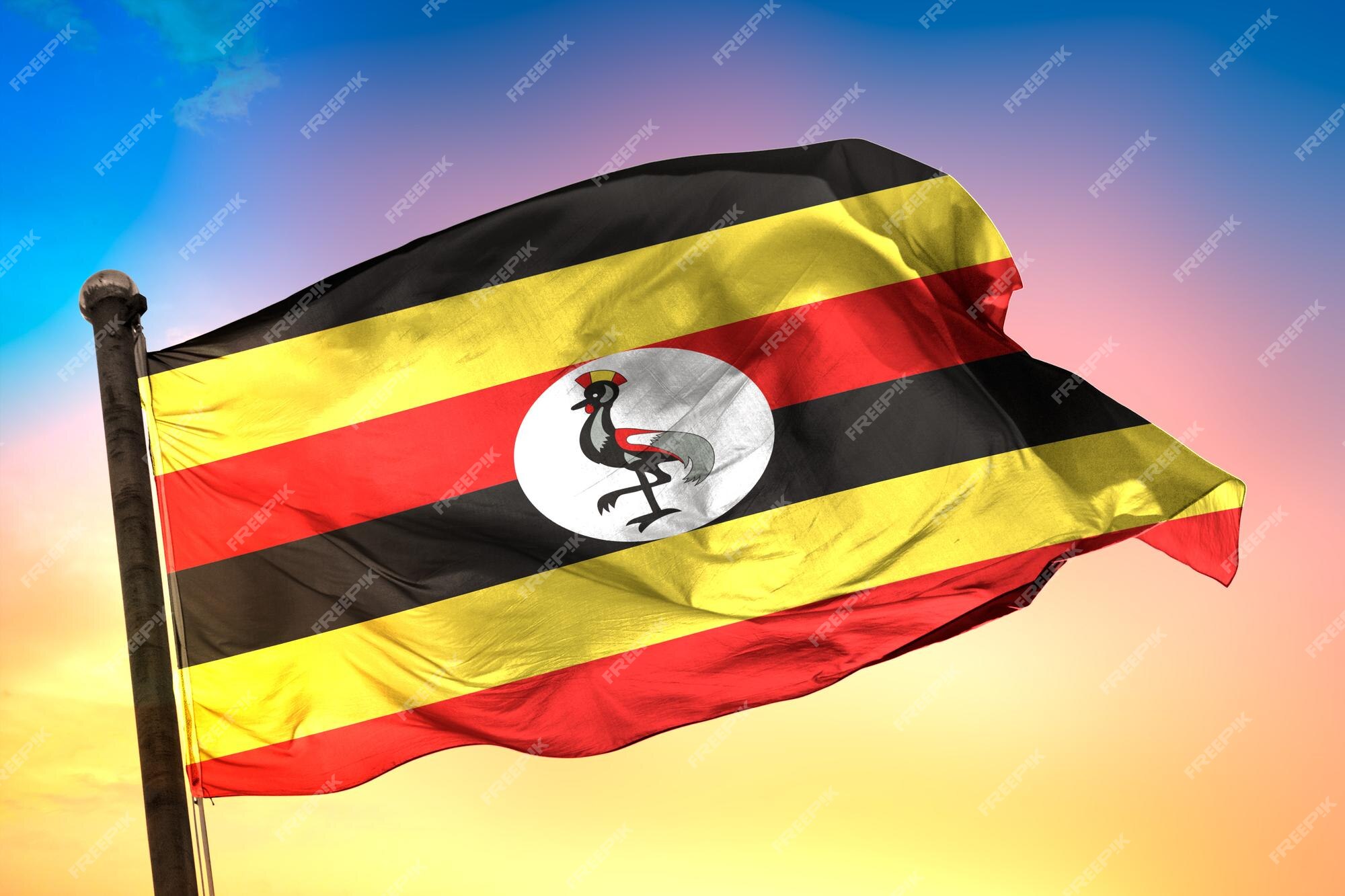 Premium photo uganda country flag d flag and color background