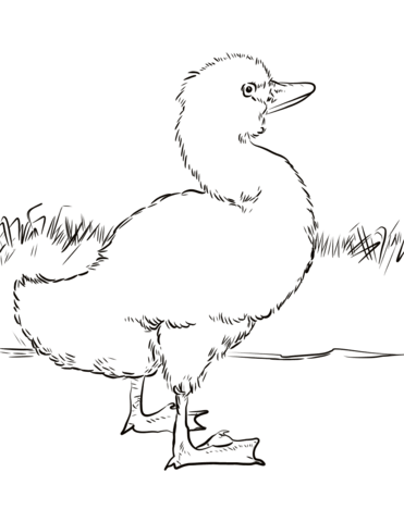 The ugly duckling coloring page free printable coloring pages