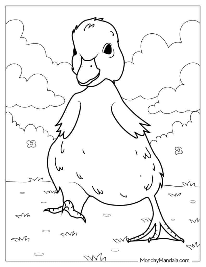 Cute duck coloring pages free pdf printables