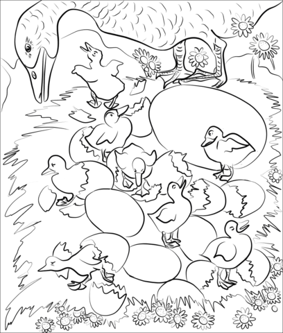 The ugly duckling coloring pages free coloring pages