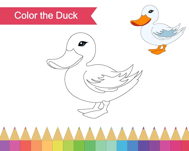 Premium vector coloring page for duck vector illustration kindergarten children coloring pages activity worksheet