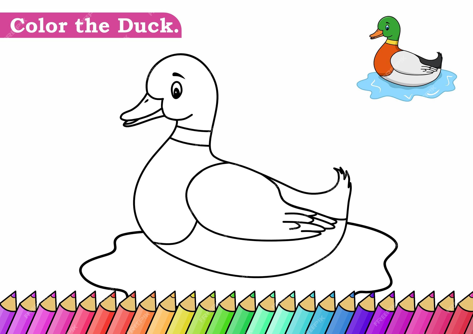 Premium vector coloring page for duck vector illustration kindergarten children coloring pages activity worksheet