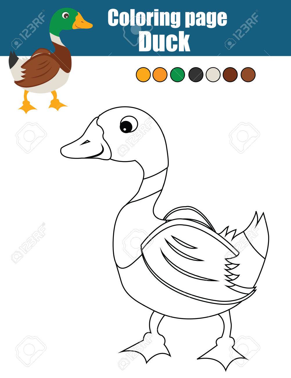 Coloring page with duck color the duck drawing activity educational game for kids animals theme royalty free svg cliparts vectors and stock illustration image