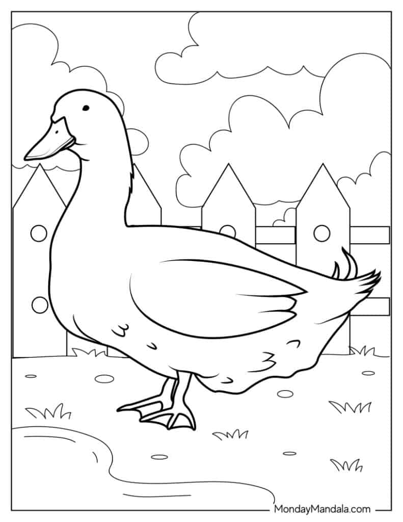 Cute duck coloring pages free pdf printables