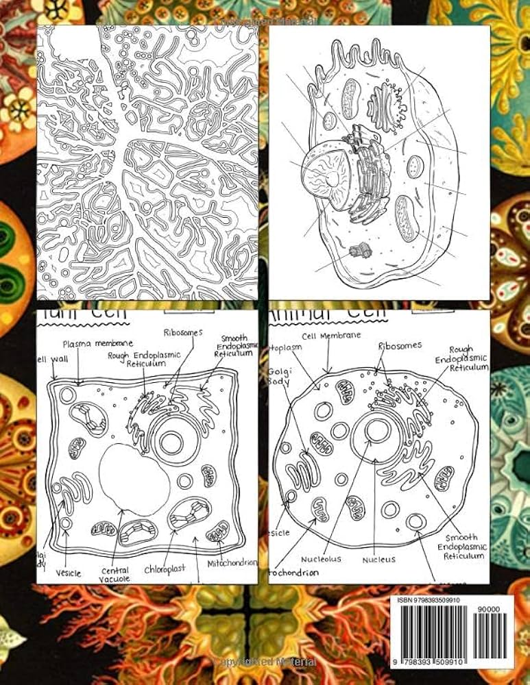 The ultimate biology coloring book prime illustrations with amazing coloring pages of scientific study for fun and creativity perfect gift for special ocsions marquez tiago books