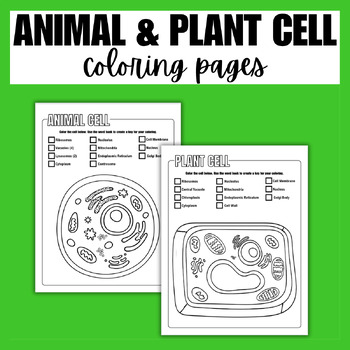 Cell coloring page tpt
