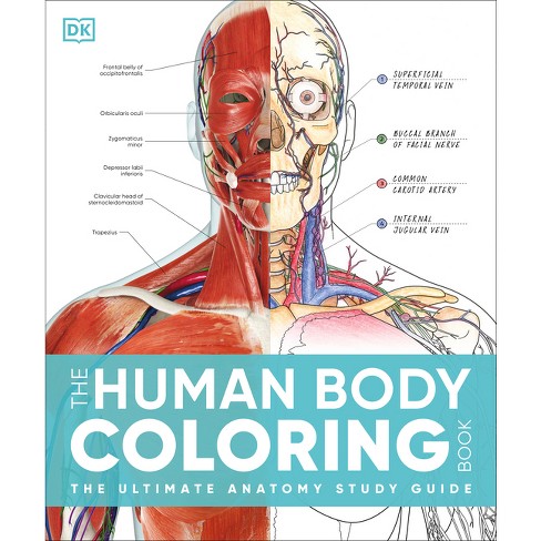 The human body coloring book