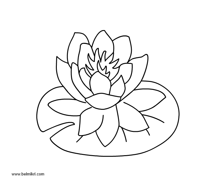 Printable coloring pages dot the dot