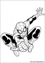 Ultimate spider