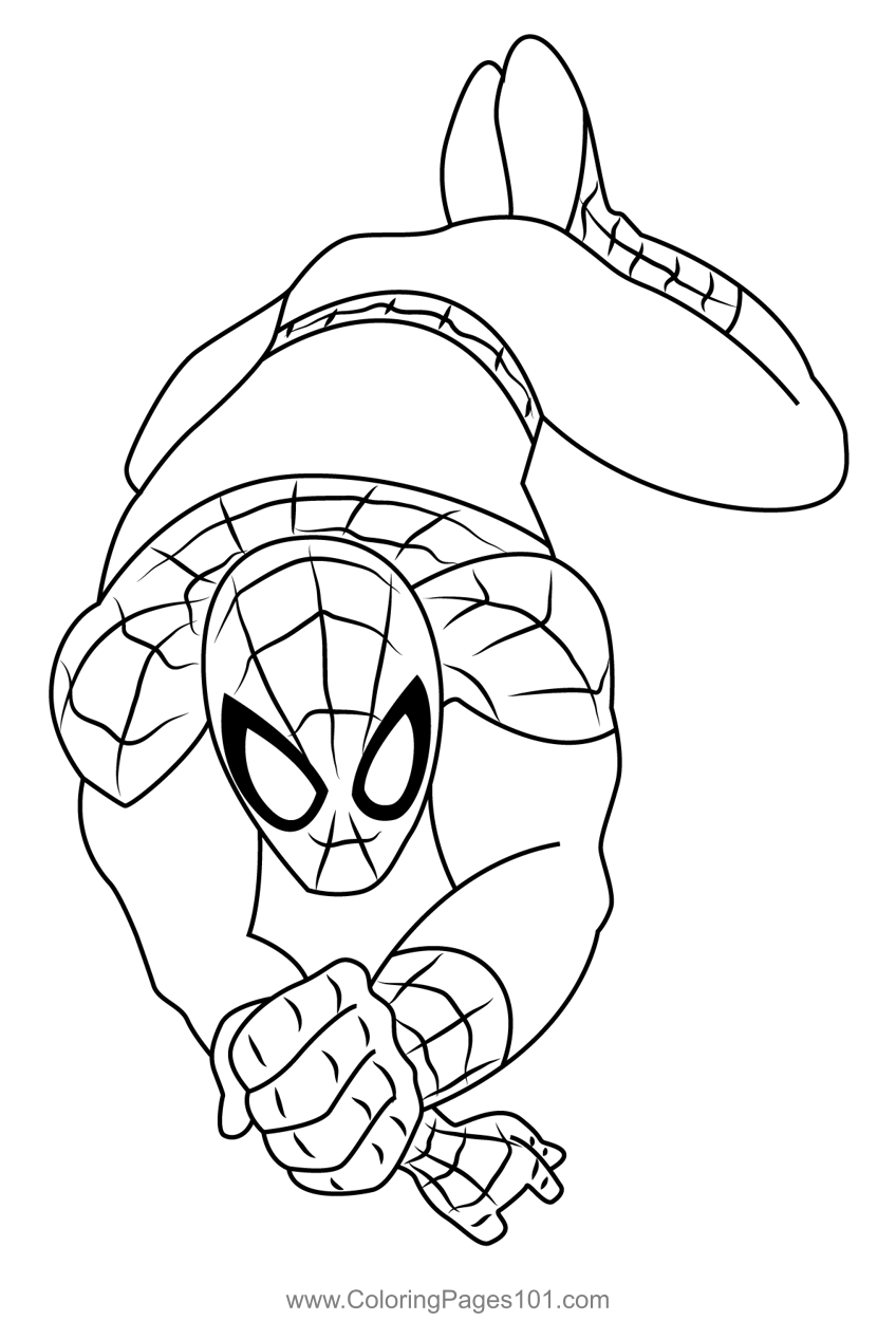 Marvel universe ultimate spider man coloring page for kids