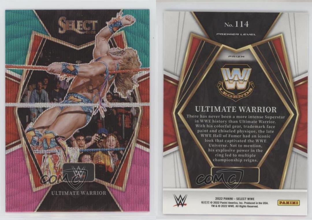 Panini select wwe