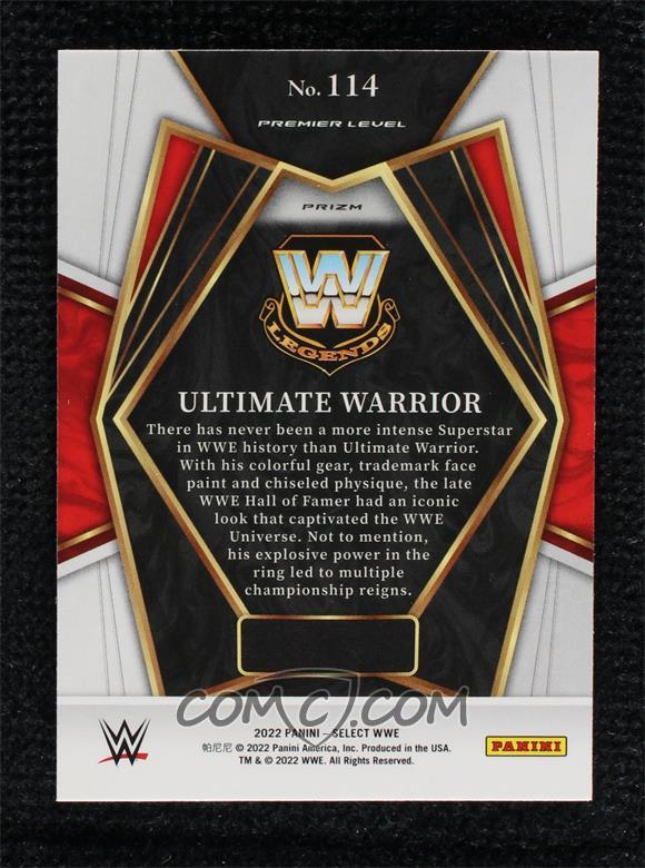 Panini select wwe