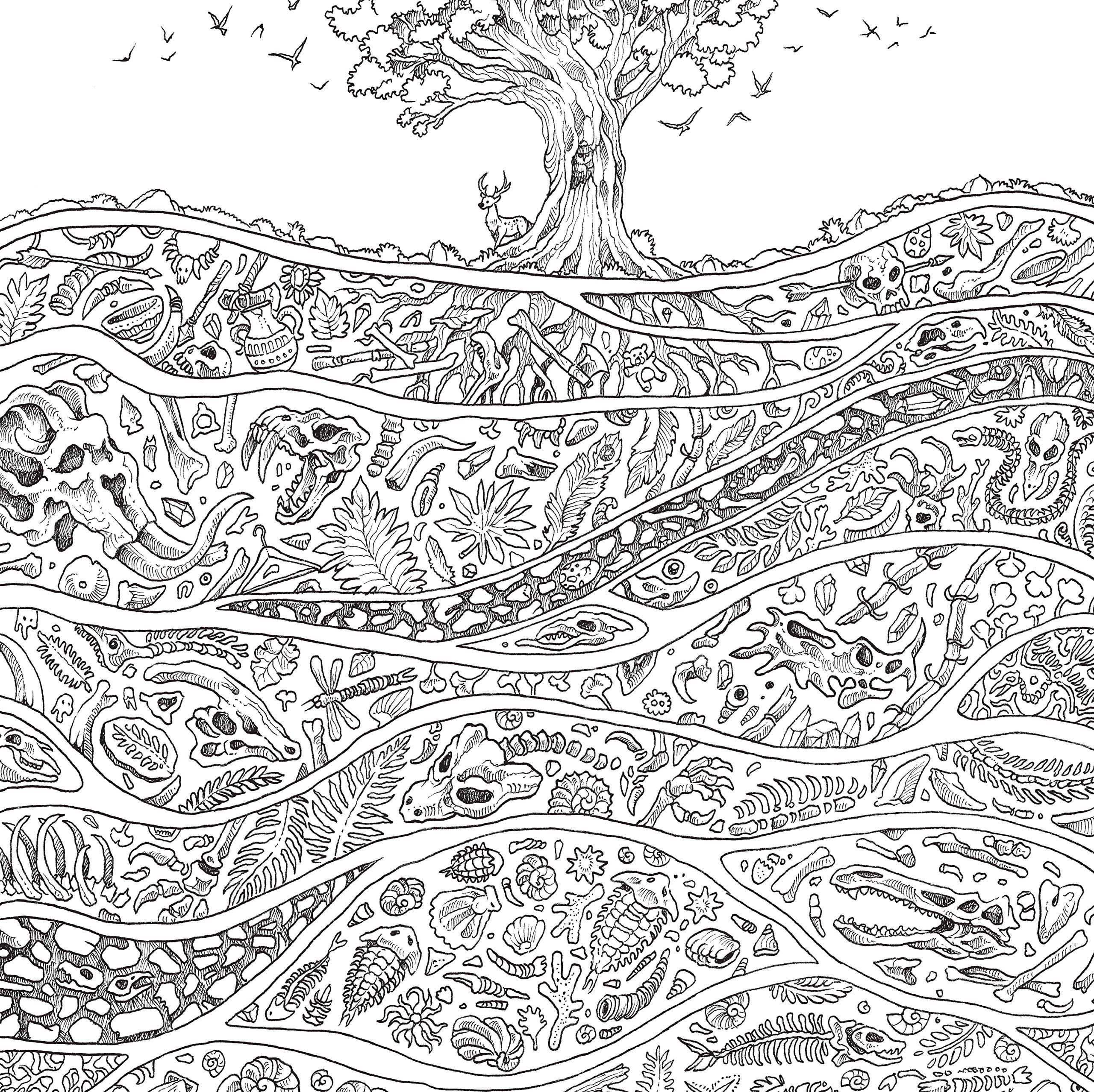 Geomorphia an extreme colouring and search challenge kerby rosanes extreme colouring angel coloring pages cartoon coloring pages adult coloring designs