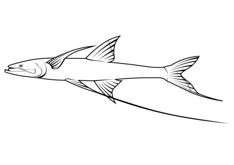 Fish coloring pages free coloring pages