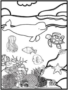 Ð free printable ocean coloring pages