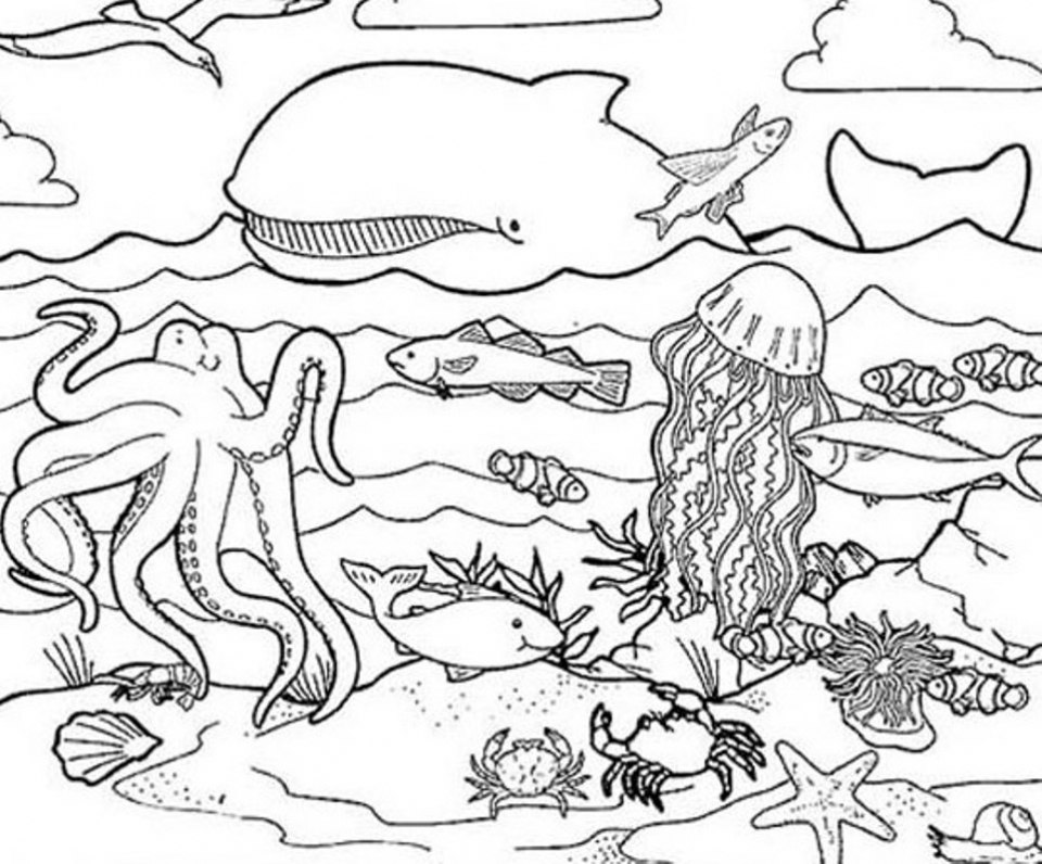 Get this ocean animals coloring pages ahl