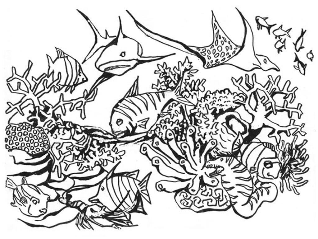 Animals under the sea image coloring page