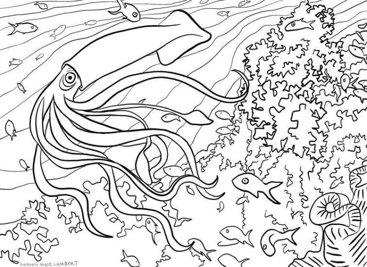 Coloring page under the sea the gazette