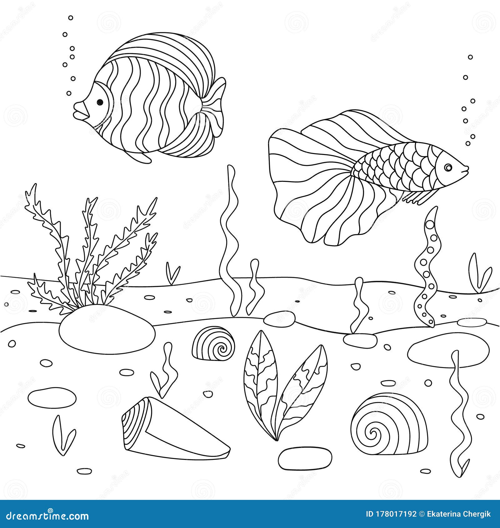 Vector illustration with algae shell and fish sea floor cute square page coloring book for children stock vector