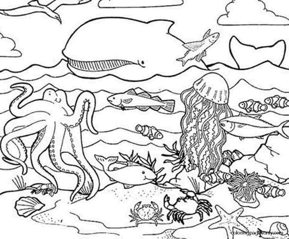 Seas and oceans coloring pages printable for free download