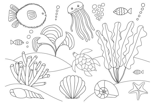 Under the sea coloring page stock illustration