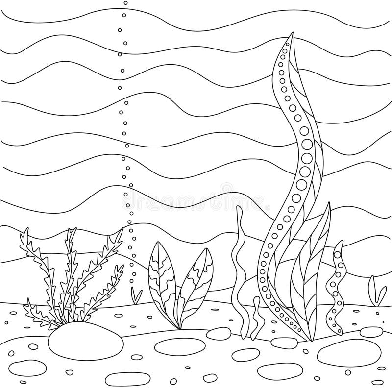 Vector illustration with algae sea bottom simple funny childrens drawing cute coloring book for small children stock vector