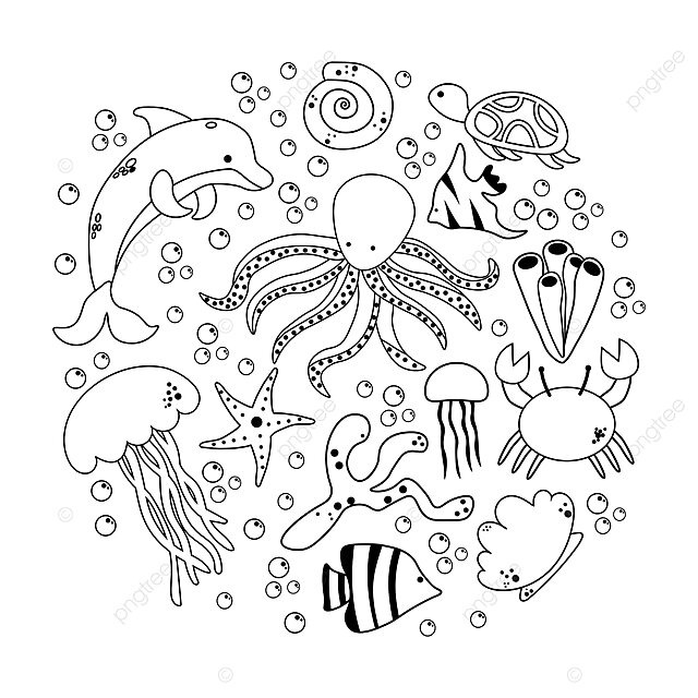 Circle ocean creatures coloring book for all ages vector graphic clown coral png and vector with transparent background for free download