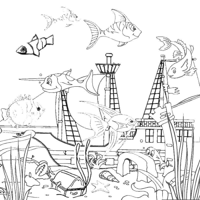 Online coloring pages ship coloring a sunken ship and fish the ocean