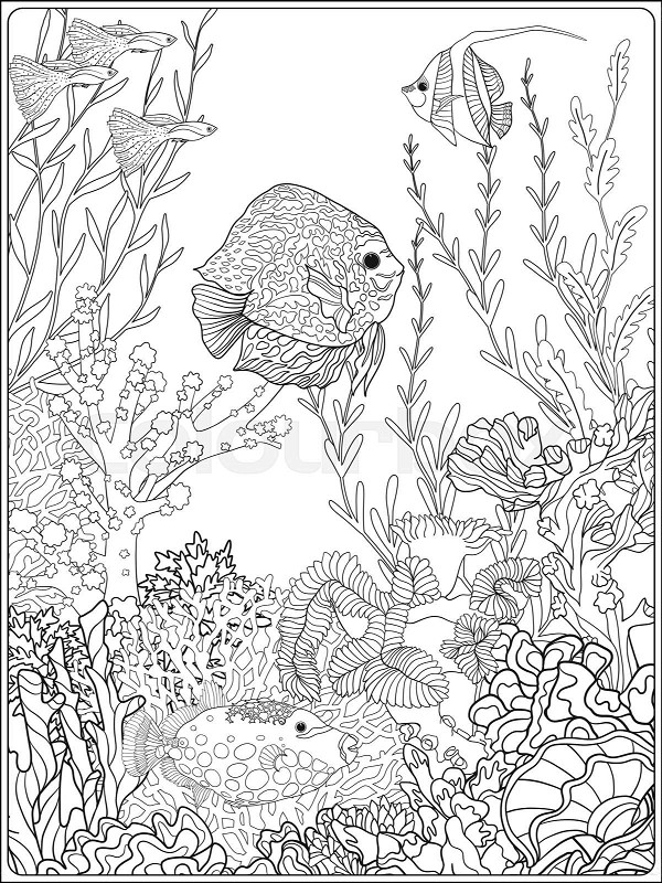 Adult coloring book coloring page with underwater world coral reef stock vector