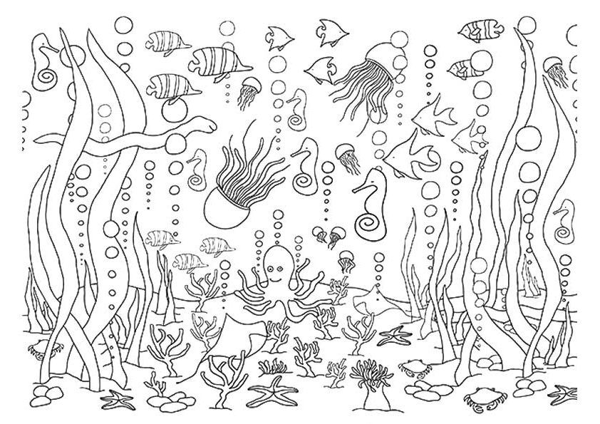 Underwater coloring pages ocean coloring pages mermaid coloring pages dolphin coloring pages