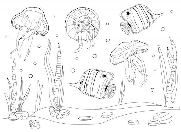 Premium vector underwater coloring page with fishes jellyfishes and seaweeds