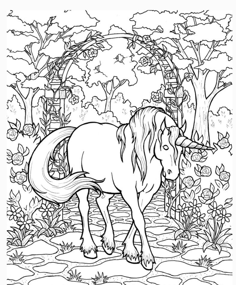 Unicorn coloring pages for adults