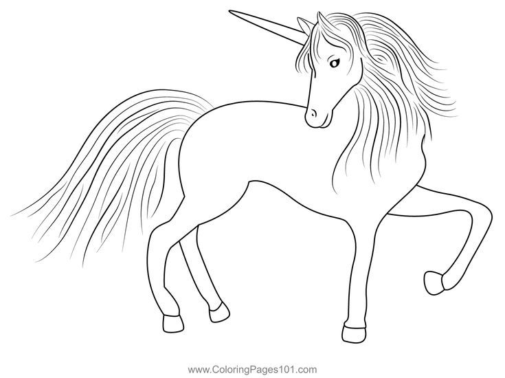 Pegasus unicorn coloring page unicorn coloring pages coloring pages pegasus unicorn