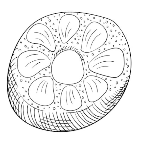 Cute donut coloring pages activity for kids donuts to color kids party activity summer activity