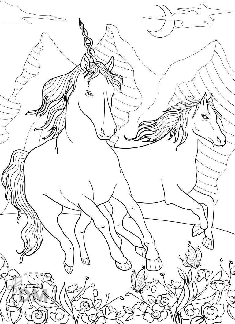 Unicorn and horse coloring page for adults and teens