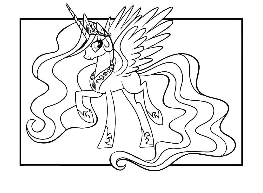 Online coloring pages coloring page pony unicorn my little pony download print coloring page