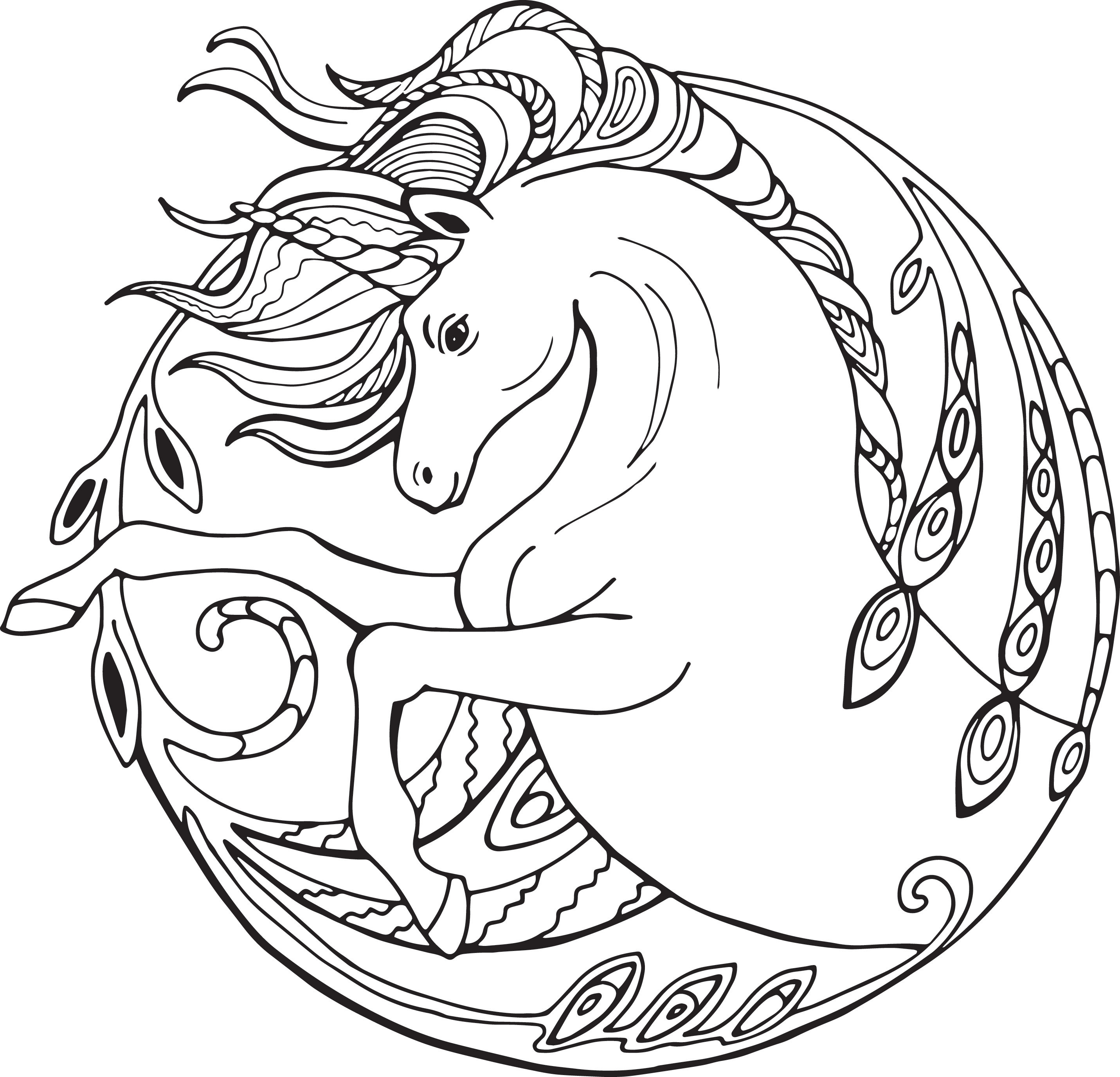 Unicorn coloring pages for adults printable coloring pages instant download jpg instant download
