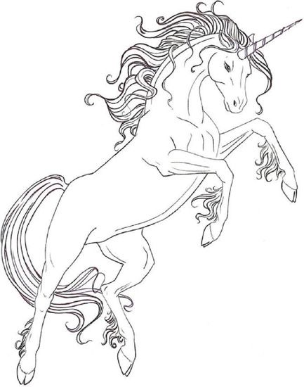 Adorable unicorn coloring pages your kid will love unicorn coloring pages horse coloring pages coloring pages