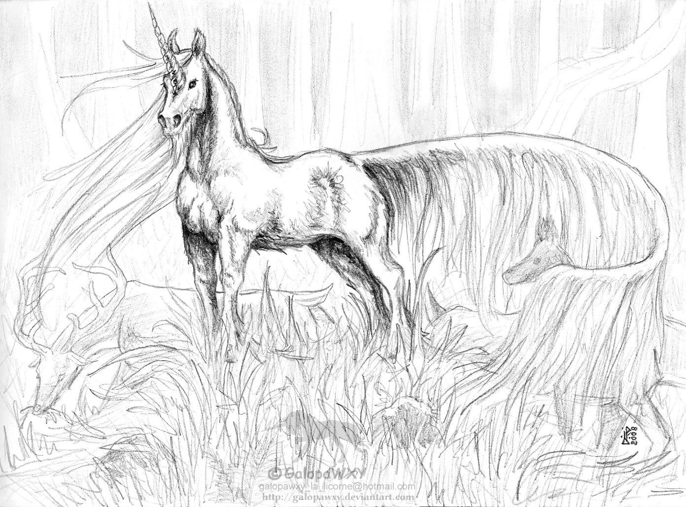 Group buy discussions âº log in horse coloring pages horse coloring unicorn coloring pages